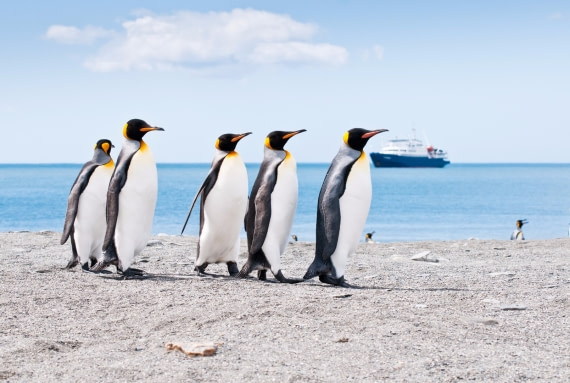 where´s the beachparty