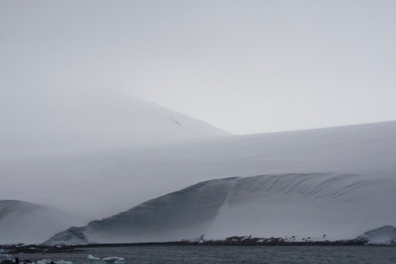 Climbers from the Sea