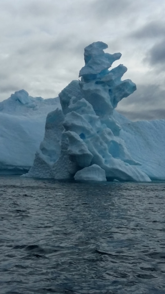 Ice sculpture, Marijke Bouma.jpg