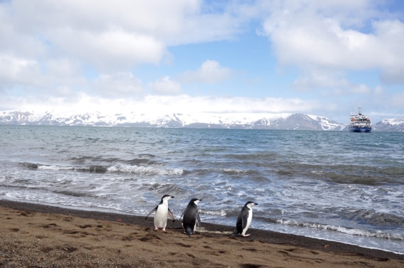 Waiting for Plancius