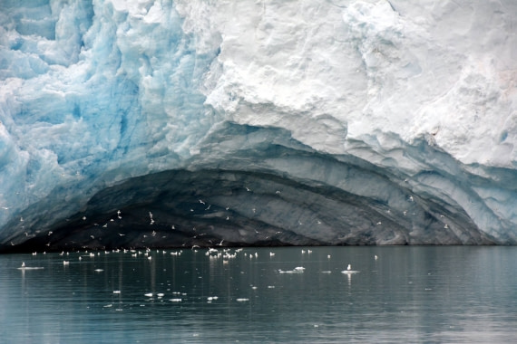 North Spitsbergen, Arctic Spring, June birdcave © Peter Tadin-Oceanwide Expeditions.jpg