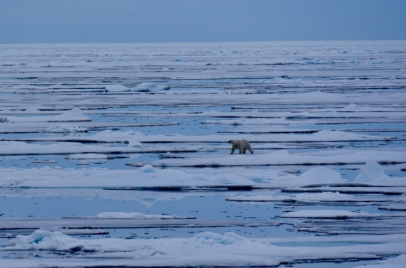 “Changing world”