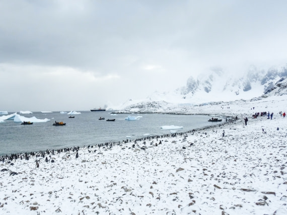 Ortelius, Zodiacs and shore