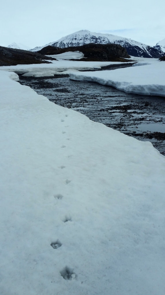 OTL03-18Tordenskjoldbukta