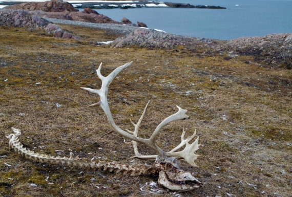 OTL03-18Tordenskjoldbukta