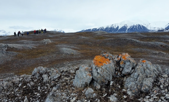 OTL03-18Tordenskjoldbukta