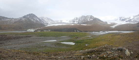 PLA35-18 Andrews bay panorama