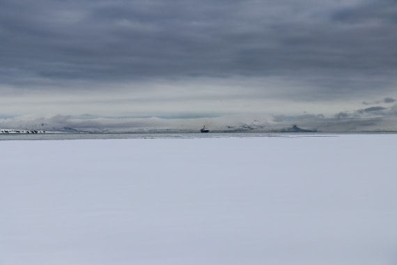 Ortelius in Ymerbukta