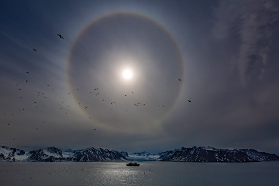 Arctic Halo
