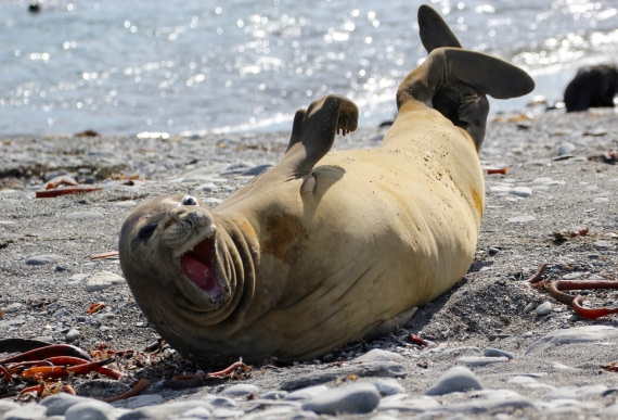 Life's great, it's Summer