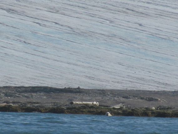 taking a bath in an icy environment