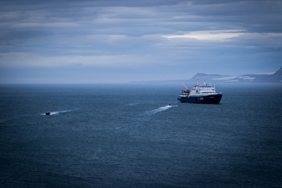 Plancius landing zodiacs