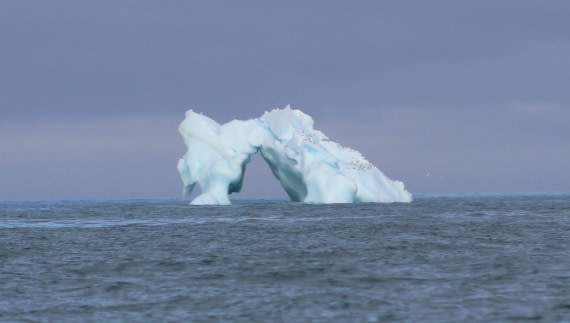 Iceberg-bridge in front of Kvitoya