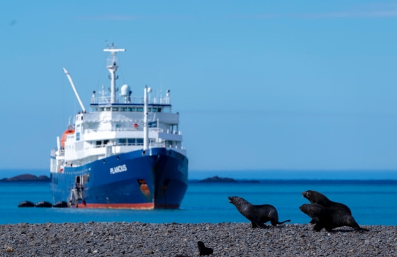 "Come on! Boarding time!"