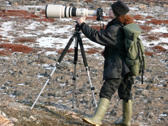 photography_east greenland (c) rob tully (9).jpg