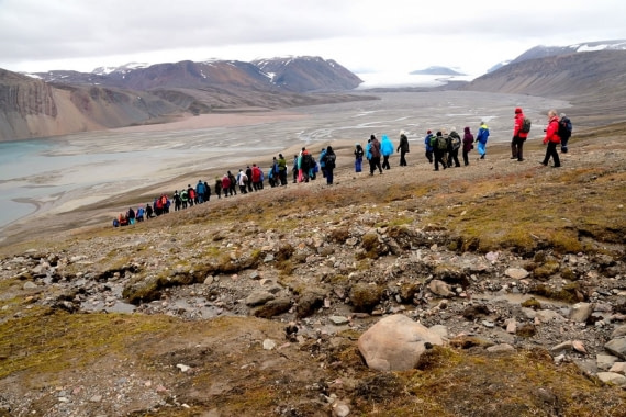 despite many, lost in beauty