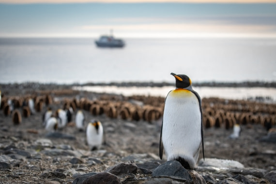St. Andrews in the morning