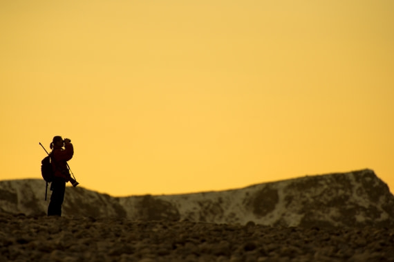 Around Spitsbergen, Kvitoya, August © Zoutfotografie-Oceanwide Expeditions (96).JPG