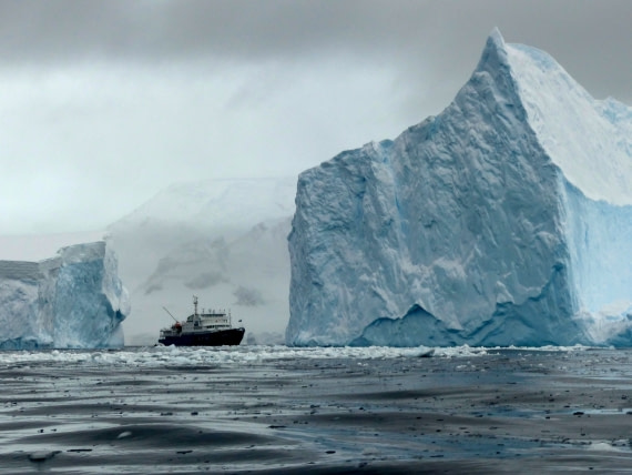 Plancius facing giant icebergs