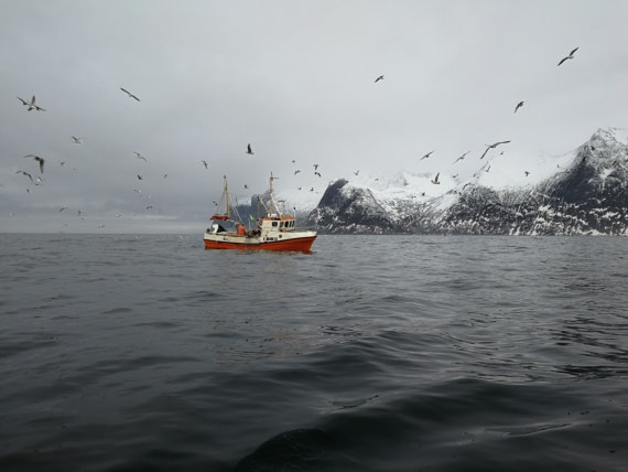 Fish trawler North Norway