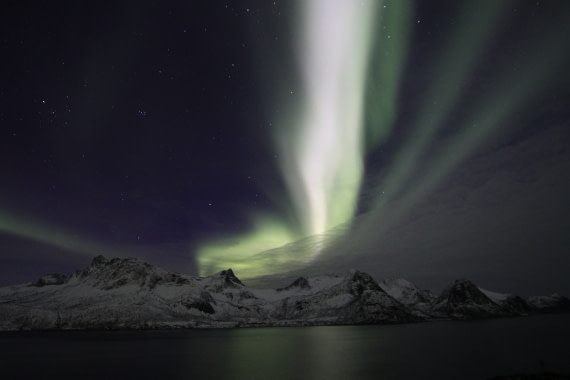 Northern lights near Husoy