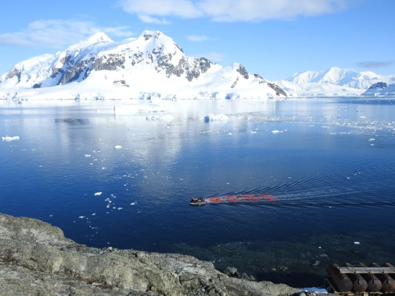 Kayaks at Brown Station
