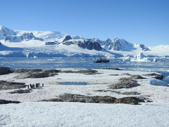 Watching the penguins on Petermann Island