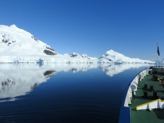 Reflection in Andvord Bay