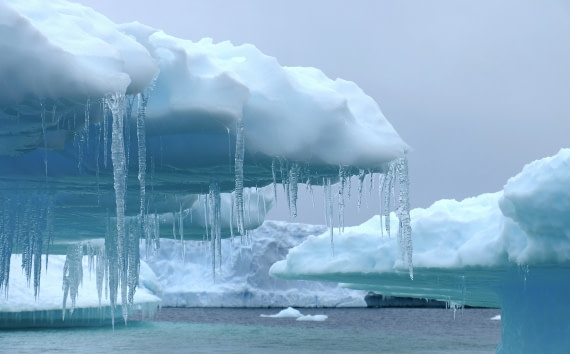 Iceberg near Charcot Bay