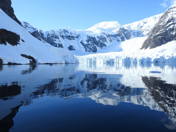 Zodiac tour off Brown station