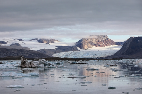 Kongsfjord