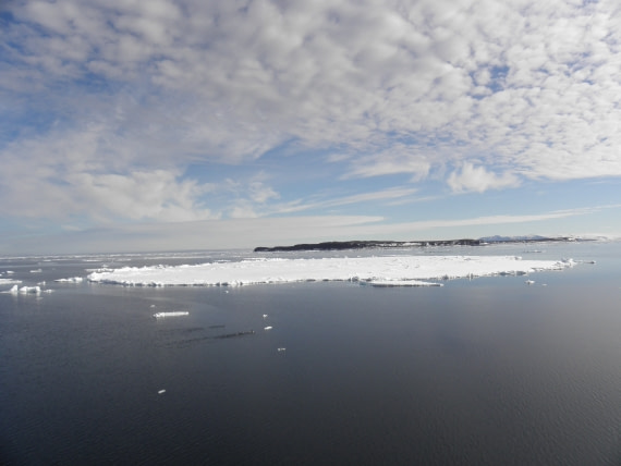 Ice shelf