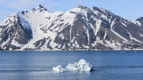 Mountain and ice
