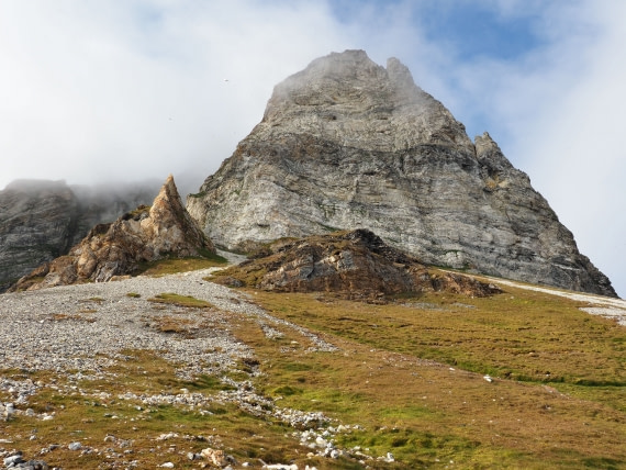 Alkhornet © Mariela Cornejo - Oceanwide Expeditions.jpg