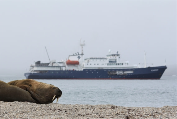 Svalbard