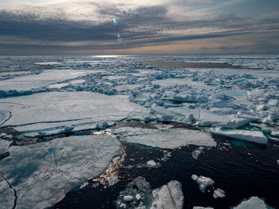 pack ice