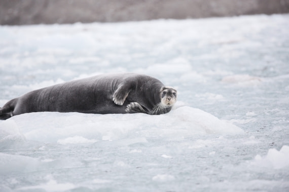 Welcome to my place!