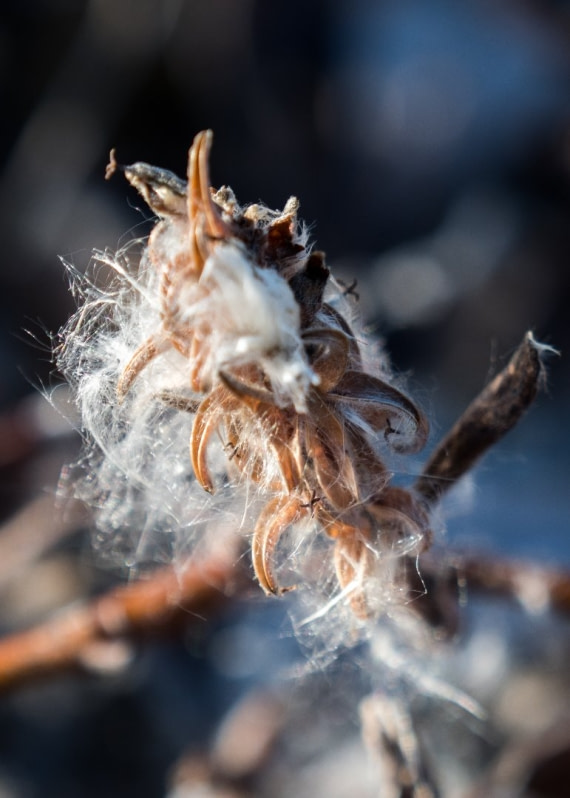 Unexpected wonders of Greenland