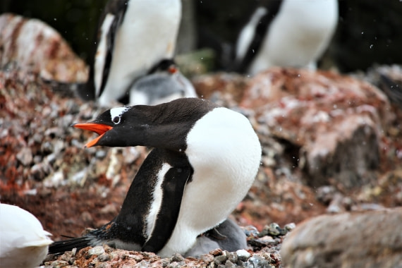 Run away from my baby