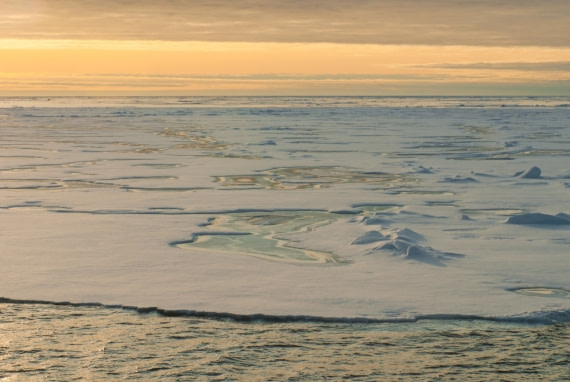 Arctic summer night light