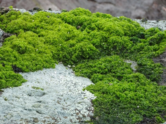 a GREEN landing spot in November!