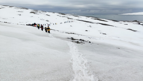 Walking near the glacier