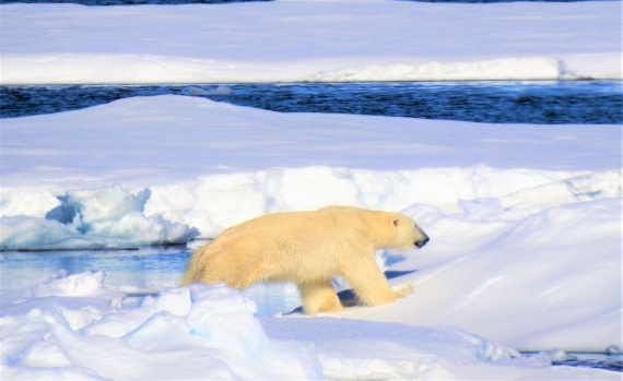 Walk in the beautiful place