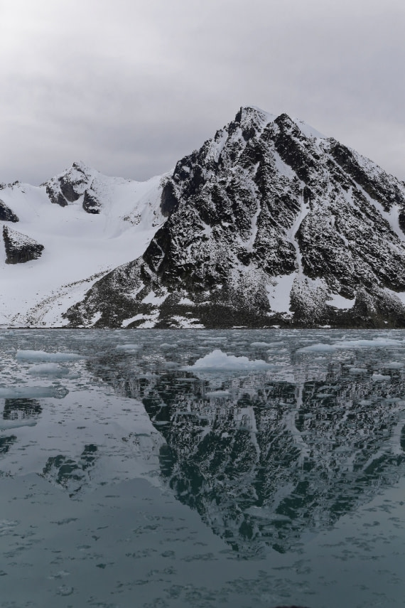 Svalbard Summer 2019