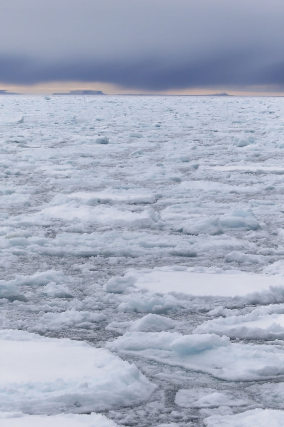 Svalbard Summer 2019