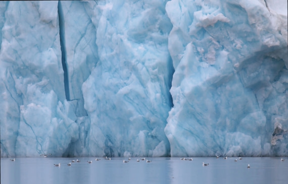 Svalbard Summer 2019