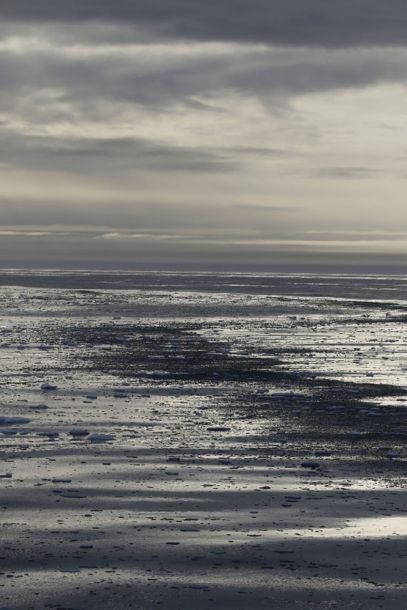 Svalbard Summer 2019