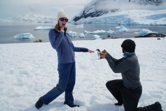 Distracted Engagment