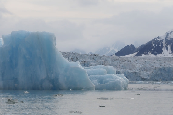 Svalbard Summer 2019