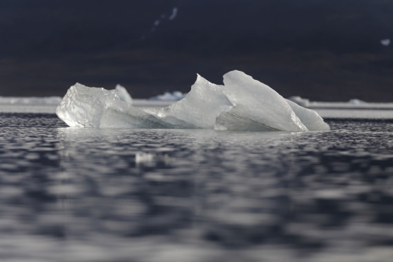 Svalbard Summer 2019